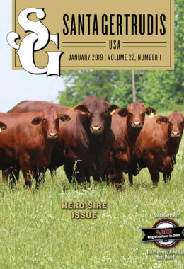 January 2019 | Vol 22, No 1
