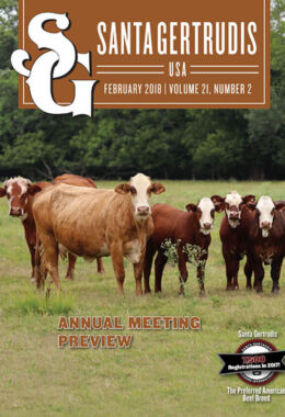 February 2018 | Vol 21, No 2