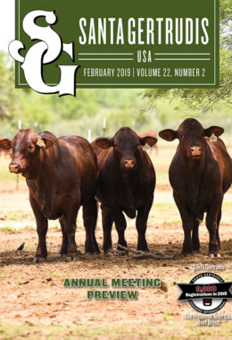 February 2019 | Vol 22, No 2