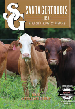 March 2019 | Vol 22, No 3