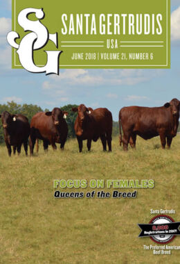 July 2018 | Vol 21, No 6
