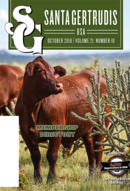 October 2018 | Vol 21, No 10
