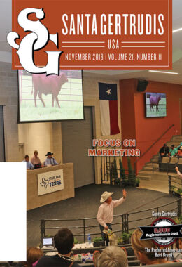 November 2018 | Vol 21, No 11