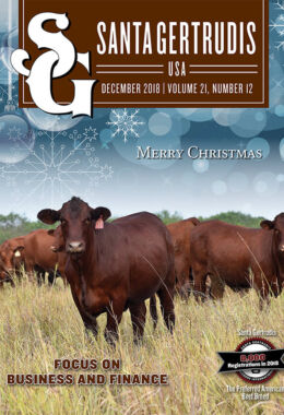 December 2018 | Vol 21, No 12