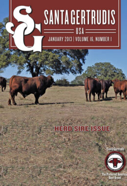 January 2013 | Vol 16, No 1