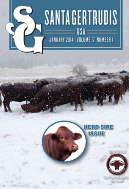 January 2014 | Vol 17, No 1