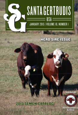 January 2015 | Vol 18, No 1