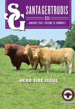 January 2016 | Vol 19, No 1