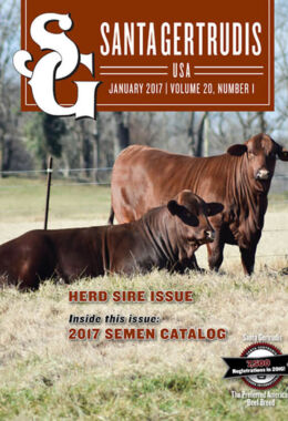 January 2017 | Vol 20, No 1
