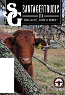 February 2013 | Vol 16, No 2