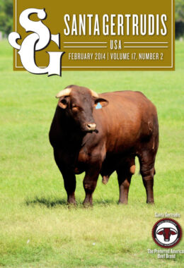 February 2014 | Vol 17, No 2