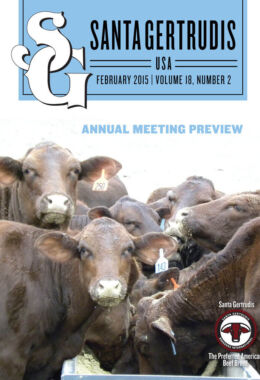 February 2015 | Vol 18, No 2