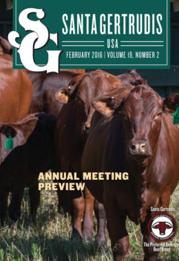 February 2016 | Vol 19, No 2