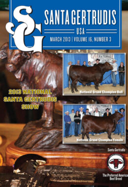 March 2013 | Vol 16, No 3