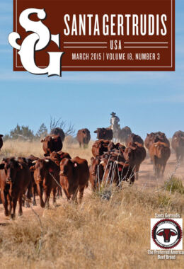 March 2015 | Vol 18, No 3