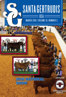 March 2016 | Vol 19, No 3