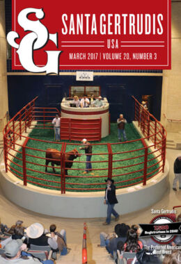 March 2017 | Vol 20, No 3