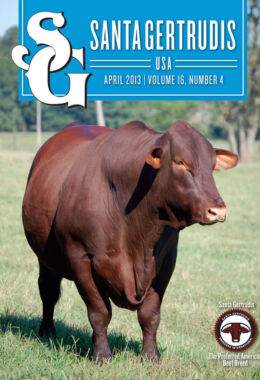 April 2013 | Vol 16, No 4