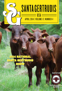 April 2014 | Vol 17, No 4
