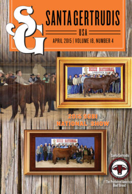 April 2015 | Vol 18, No 4
