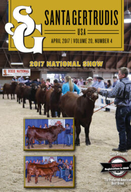 April 2017 | Vol 20, No 4