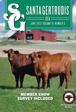 June 2013 | Vol 16, No 6