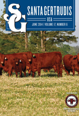 June 2014 | Vol 17, No 6