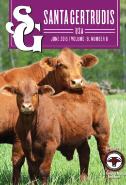June 2015 | Vol 18, No 6