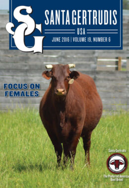 June 2016 | Vol 19, No 6