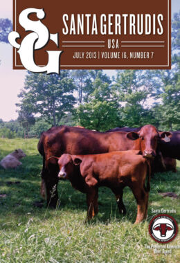 July 2013 | Vol 16, No 7