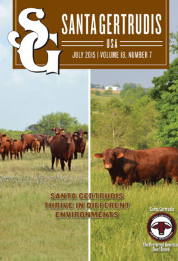 July 2015 | Vol 18, No 7