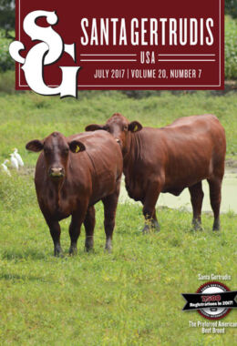 July 2017 | Vol 20, No 7