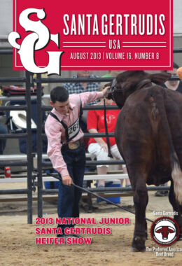 August 2013 | Vol 16, No 8