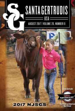 August 2017 | Vol 20, No 8