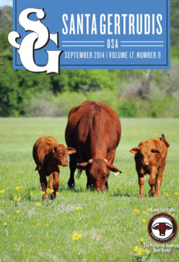 September 2014 | Vol 17, No 9