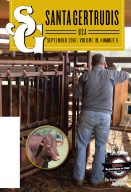 September 2016 | Vol 19, No 9