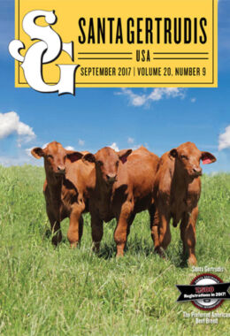 September 2017 | Vol 20, No 9