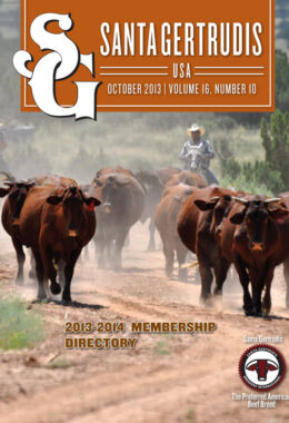 October 2013 | Vol 16, No 10
