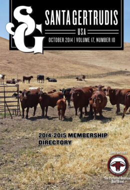 October 2014 | Vol 17, No 10