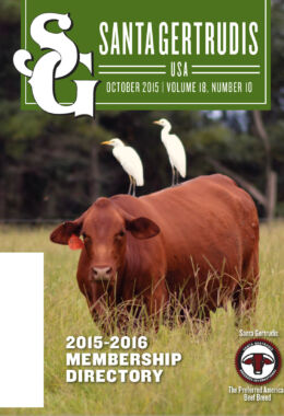 October 2015 | Vol 18, No 10