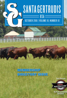 October 2016 | Vol 19, No 10