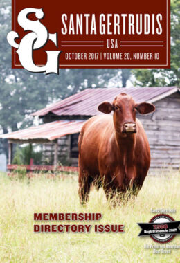October 2017 | Vol 20, No 10