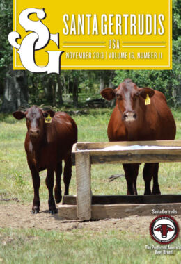 November 2013 | Vol 16, No 11