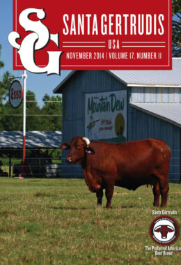 November 2014 | Vol 17, No 11