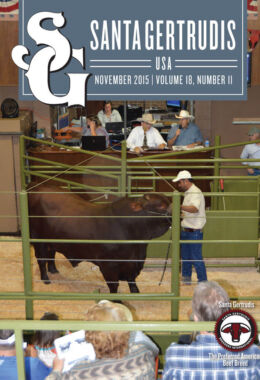 November 2015 | Vol 18, No 11