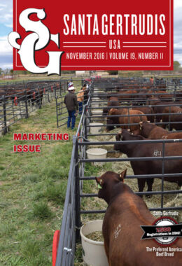 November 2016 | Vol 19, No 11