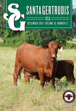 December 2013 | Vol 16, No 12