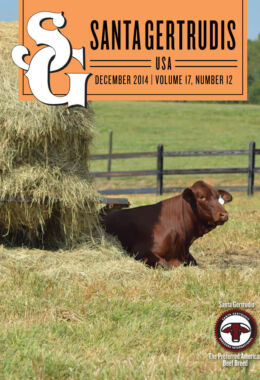 December 2014 | Vol 17, No 12
