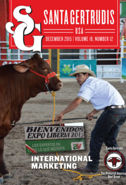 December 2015 | Vol 18, No 12