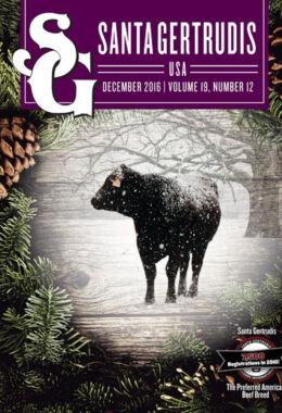 December 2016 | Vol 19, No 12